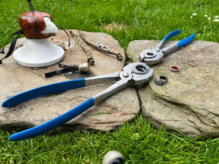Banding pliers with two ring sizes on a stone with falconry equipment